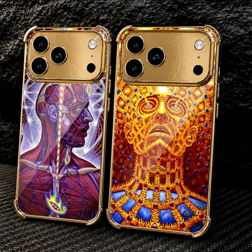 Aesthetic Art A-Alex Grey Phon - Metal Photo Panel ulasan dan harga
